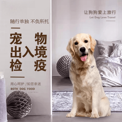 塘沽区宠物托运到哥伦比亚猫狗宠物入境规定和