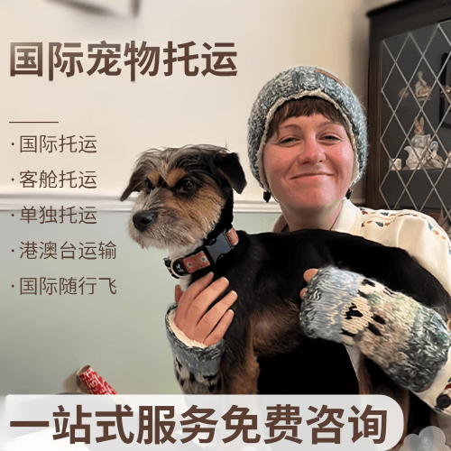 塘沽区国际宠物托运到阿根廷宠物入境规定和要