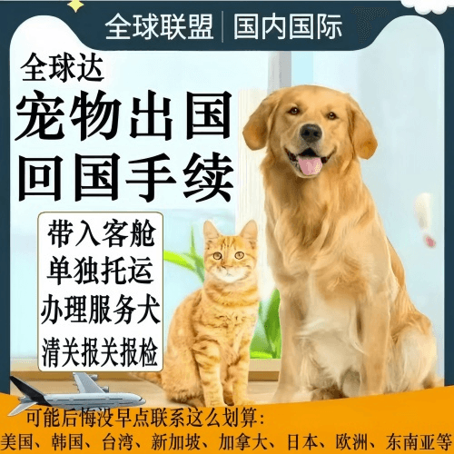 塘沽区宠物托运到柬埔寨宠物入境规定和要求