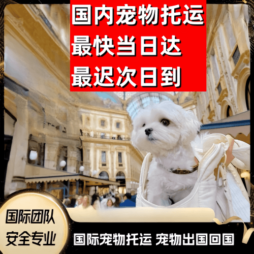 塘沽区到澳大利亚（澳洲）宠物入境规定和要求