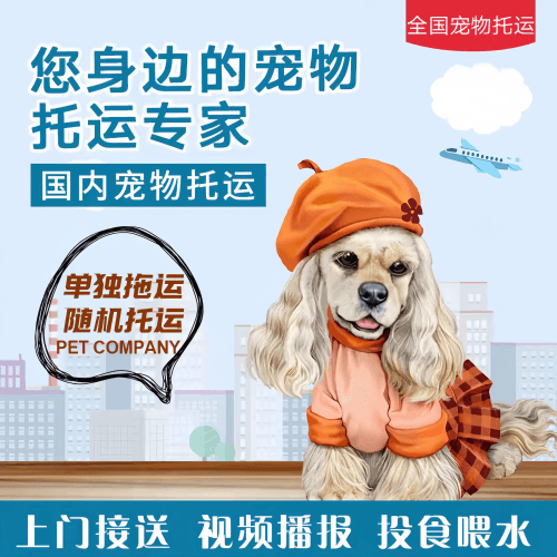 满财塘沽区宠物全球达宠物托运作为专业的宠物运输代理机构